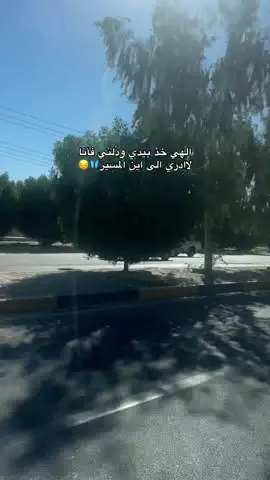 #creatorsearchinsights #يارب #اللهم_صلي_على_نبينا_محمد #humor #اكسبلور 