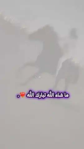 خياله😍💙. @Naro | نارو 🐆 @Naro | نارو 👑💙 #fypage #نارو #خيل #اكسبلور #السعوديه 