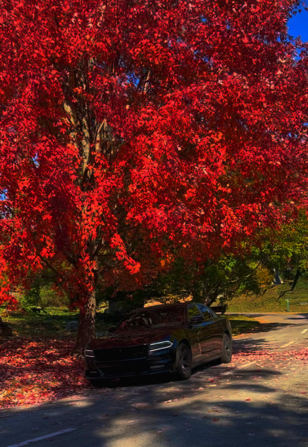 #carsoftiktok #mopar #cartok #fy #car 