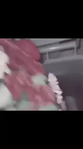 #rasty_lak #fyp #foryou #foryoupagе #viral 