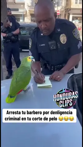 #fanyvideo #sigueme_y_te_sigo #LIVEIncentiveProgram #tiktoklive #PaidPartnership 