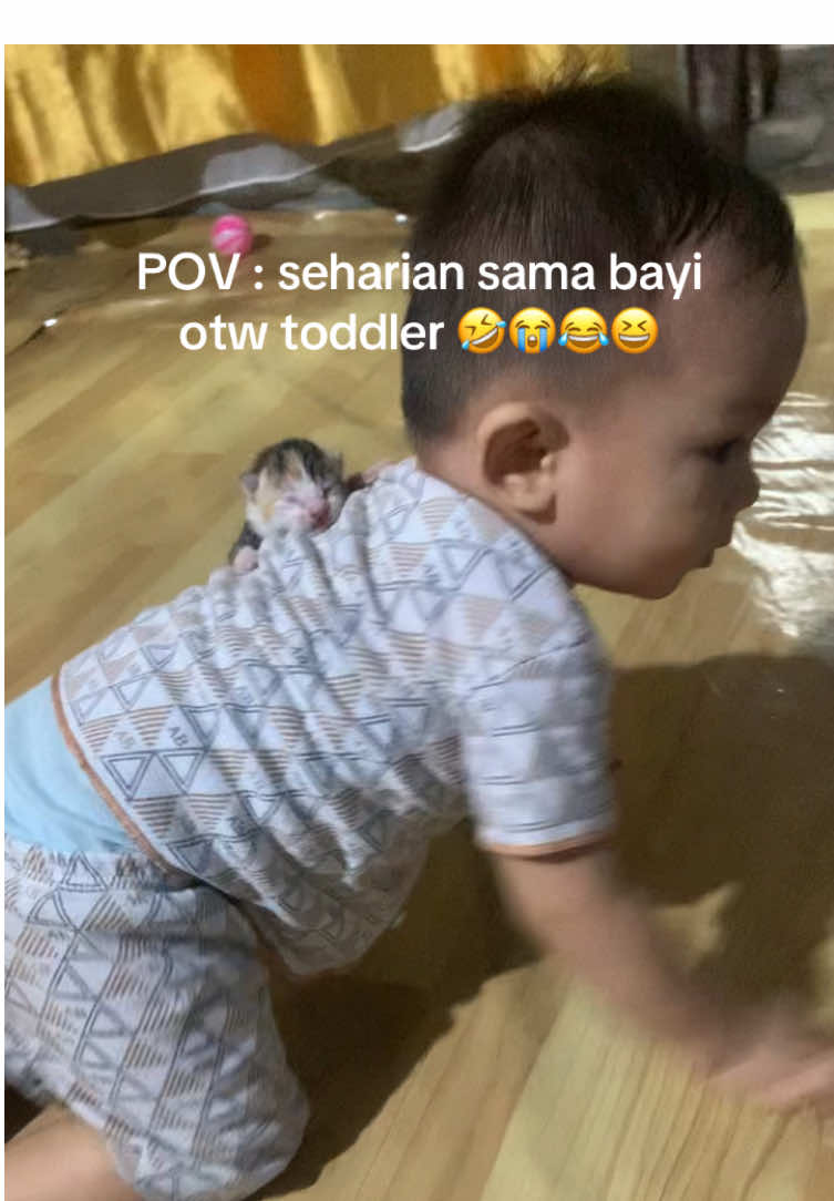 Bayi otw toddler ada aja gebrakannya🤣😭 #bayilucu #bayitoddler #toddler #bayigemes #bayikucing 