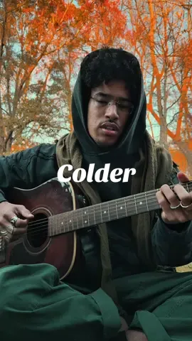 Been working on this for the last week. Autumnal soul fire type beat. Love the birds in these takes #guitar #acoustic #originalmusic 