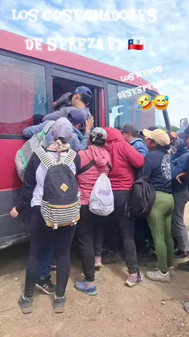 #los menos desesperado@s de la cosecha 