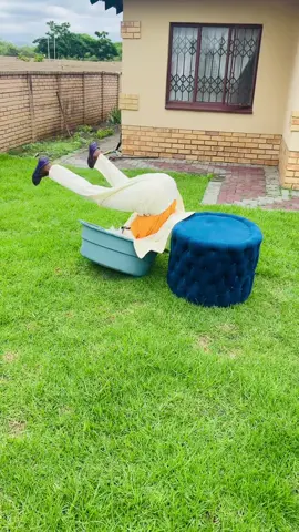 He didn’t see it coming 