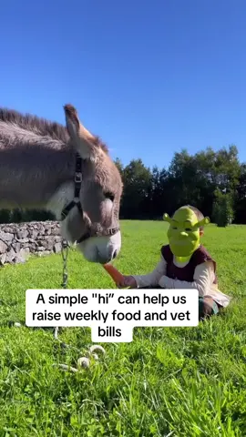 Your help is our hope #usa #unitedstates #washington #usa_tiktok #usadonkey🇺🇸 