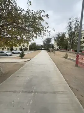 💙🤩|fon arkayyn alyp bılersınız🫶🏼#rekkaciq😂🗿 