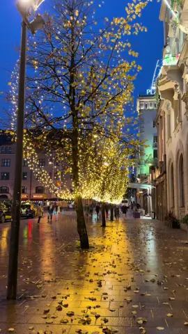 Beautiful Helsinki 🥀❤️#suomi #finland🇫🇮 #suomitiktok #travel #keskusta 