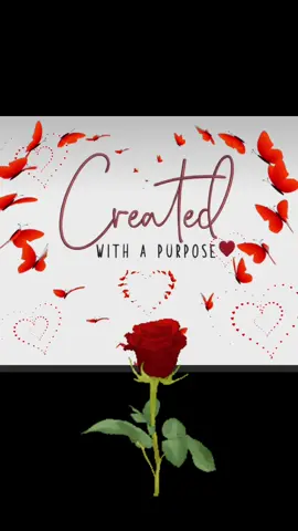 Created for #purpose #julieoceans64 #foryoupageofficiall #fyp #today 