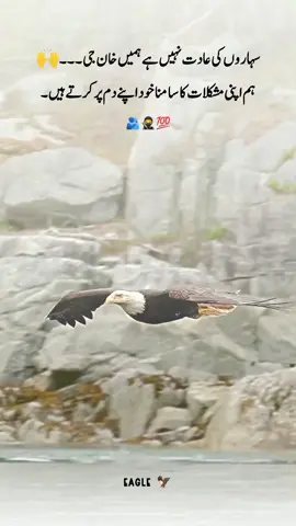 #foryoupageofficiall #foryoupageofficiall #foryourpage #foryourpage #viralvideo 