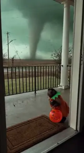 Monkey in Pumpkin Costume Swept Away by Tornado —#viral #sora #usa #virltiktokveid 