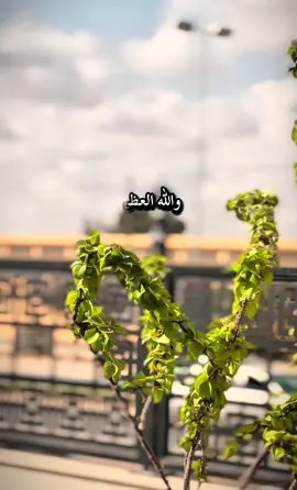 #صبراته_الكبيده💕💕🔥 #الاانستابلبايو #اكسبلورexplore #العجيلات #ابوعيسي_الزاويه_طريق_الساحلي🔗❤️ 