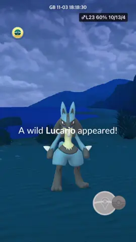 This spot is 1/10000 chance 🤩 #pokemongo #pokemongotiktok #pokemongoshiny 