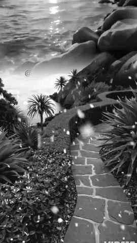 الحياة جميلة بالتقوى!!!  #foryoupage #foryou #capcut #fyp #اقتباسات_عبارات_خواطر 