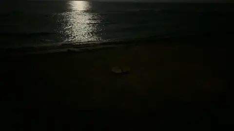 #tabuk #alwajh #explore #rrr 