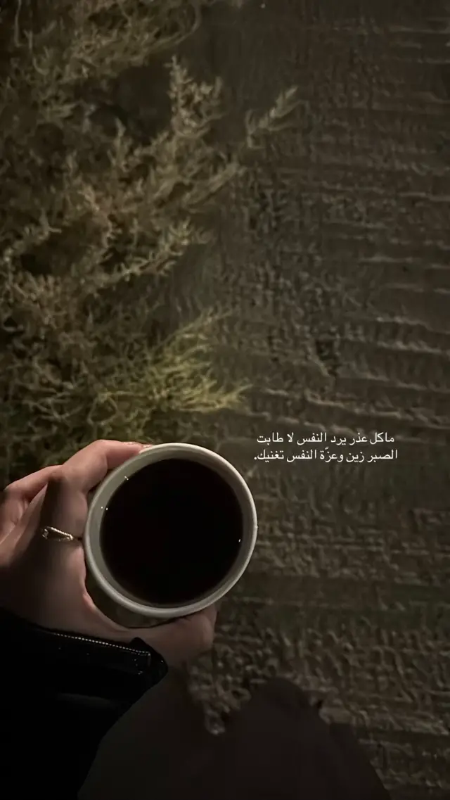 #explore #fyp #foryou 