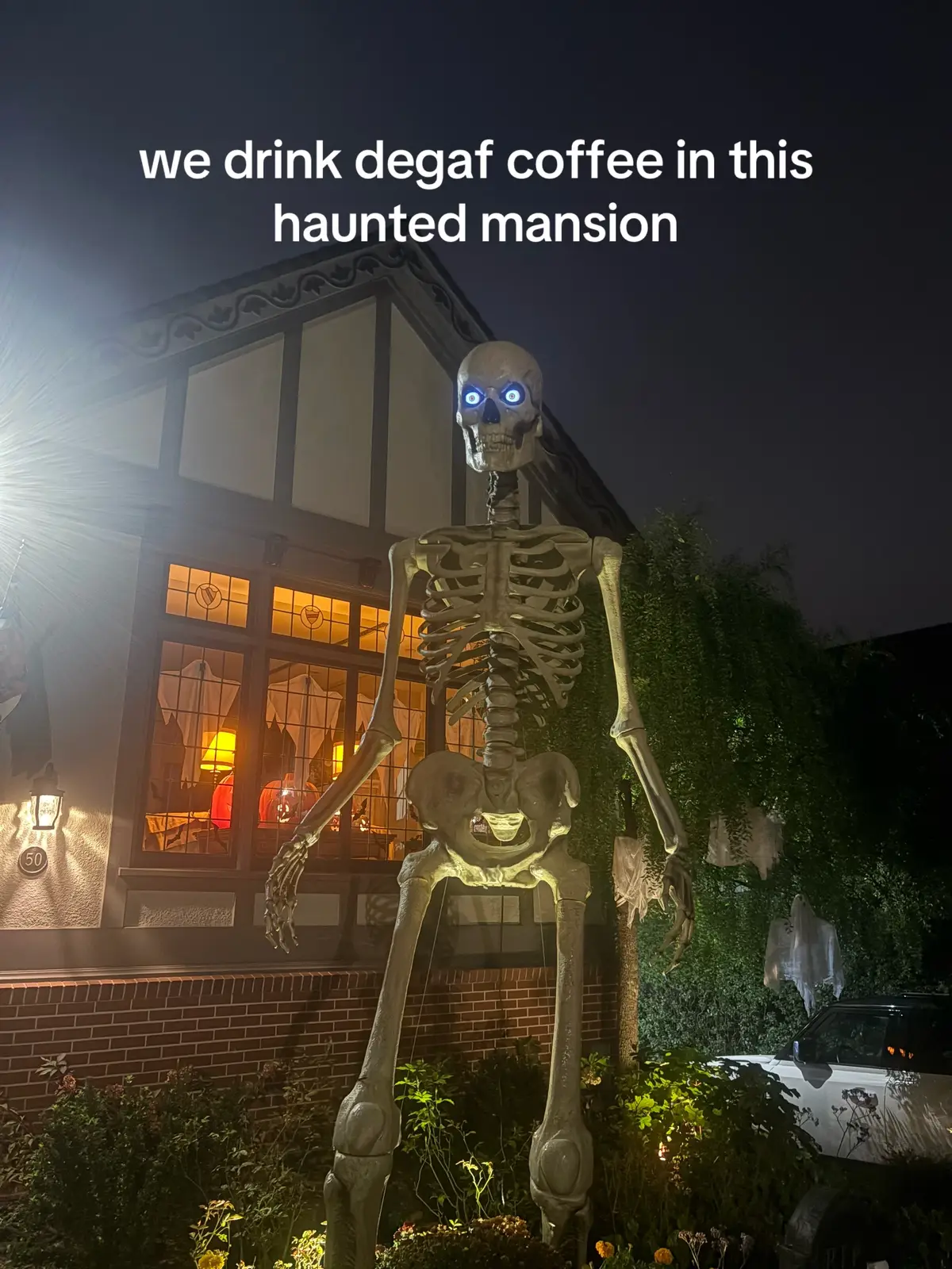 #halloween #halloweencostume #pitbull #sun 