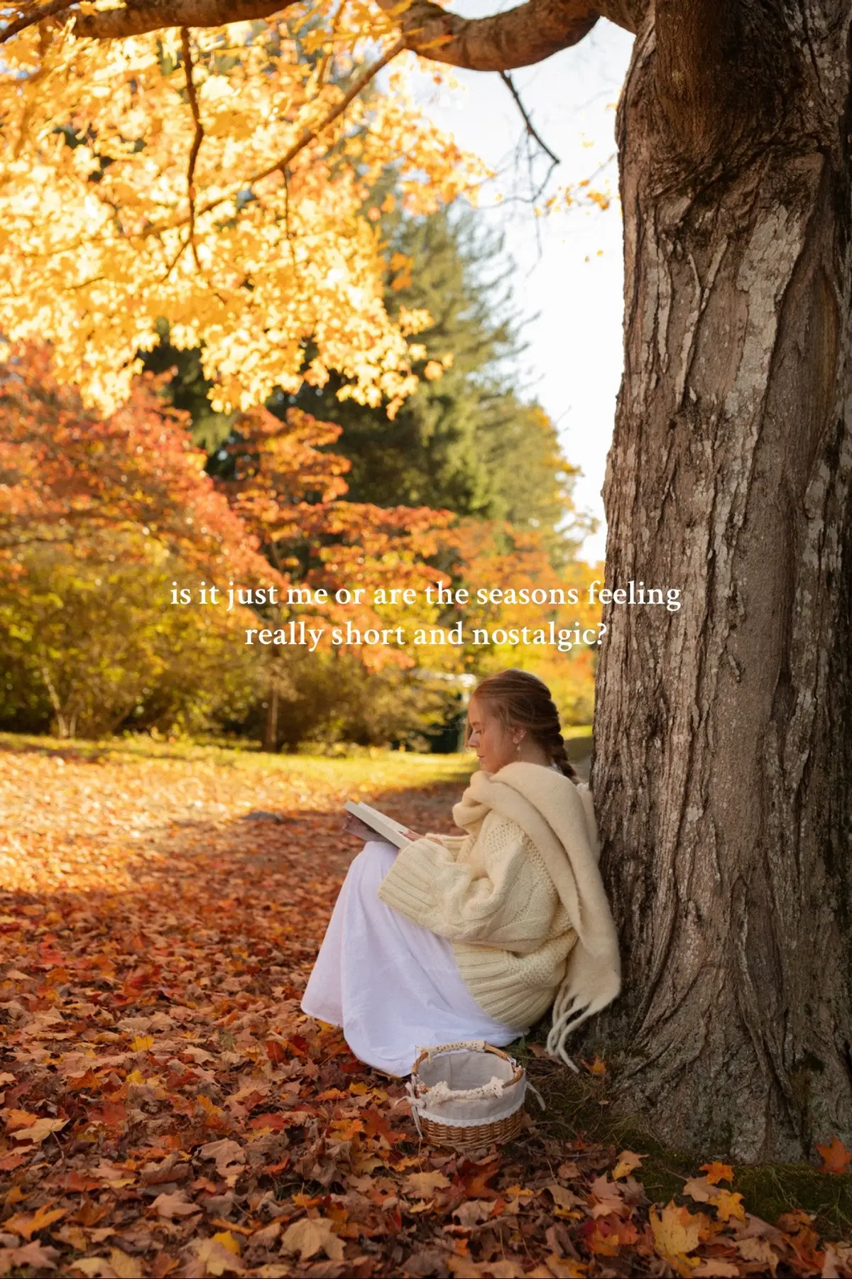 a love letter to fall because it was the most magical and nostalgic one yet ⭐️ @momentsbymiak thank you for capturing how this beautiful New England season felt 🍁 #boston #newengland #seasons 