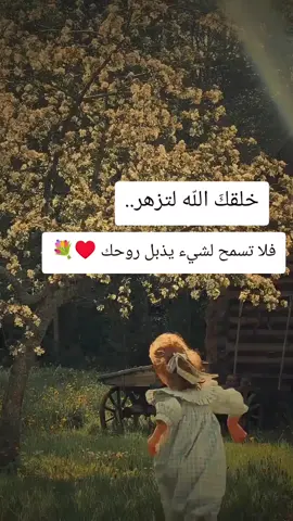 #كلام_من_القلب #اعلى_مشاهدة_في_تيك_توك #الشعب_الصيني_ماله_حل😂😂 #اقتباسات #خواطر 