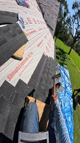 Saludos mis appis #comedia #risa #feliz #roofing #fundwork 