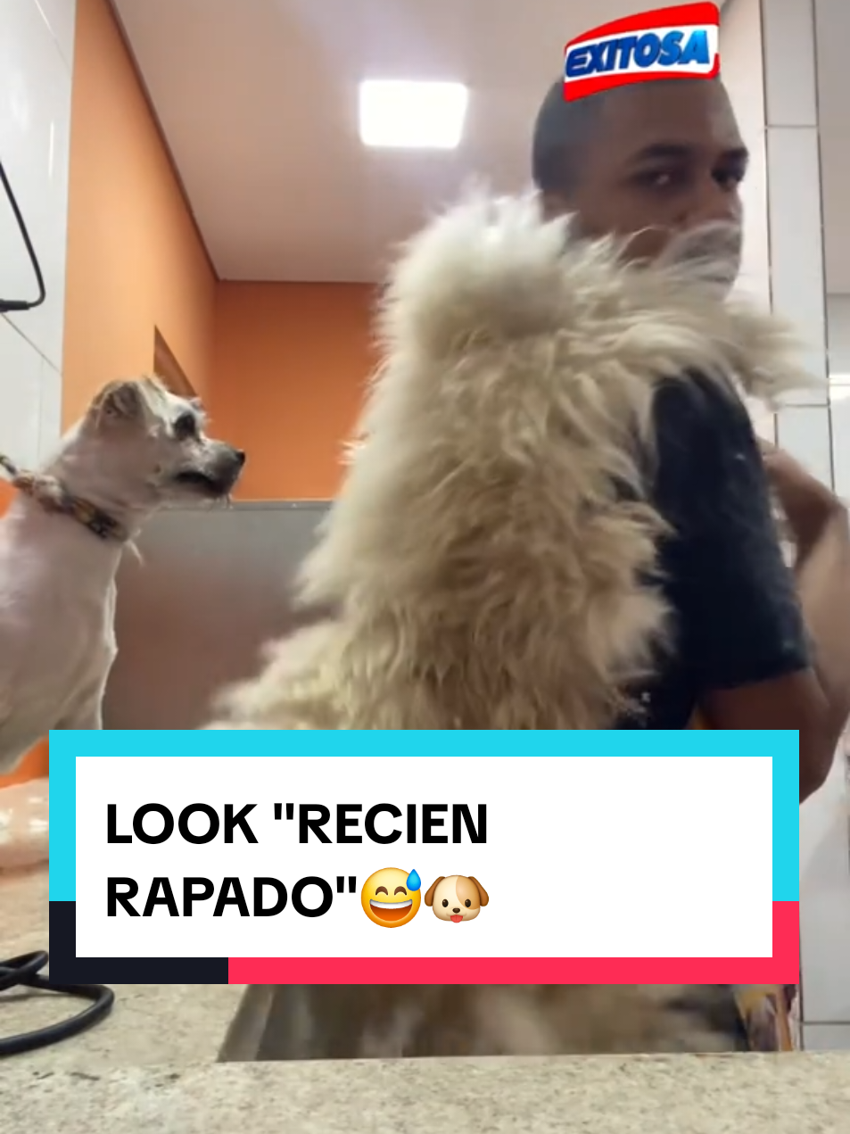 🐾 ¡Tendencia Viral! Primavera 2025: El Look 