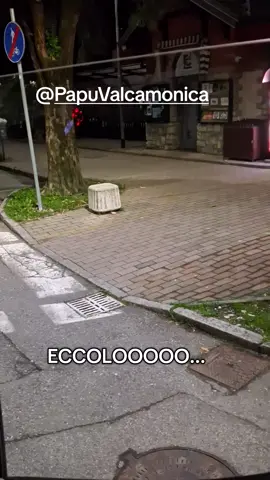 @Papu Valcamonica  #ironia #bergamo #bresciano #perte #comico 