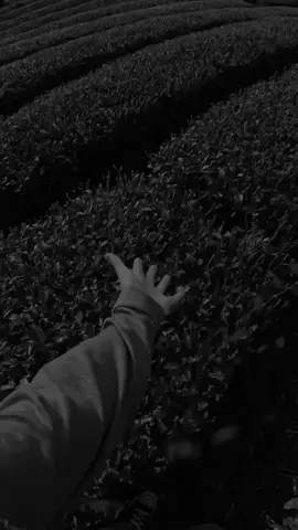 #شيعة_الامام_علي_عليه_السلام #تصميم_فيديوهات🎶🎤🎬 #كلمات_زهراء💜✨ #كلمات_زهرااء💜✨🦦 