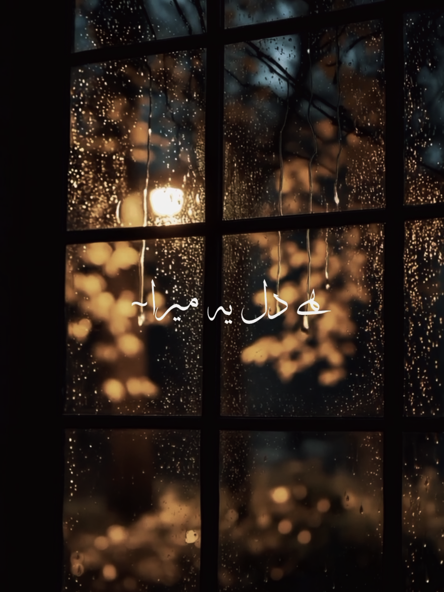 Hai Dil Ye Mera🎶🎧❤‍🩹🍂 |Repost Request|#creatorsearchinsights #lyrics_songs #bollywoodsong #1millionaudition #foryoupage❤️❤️ 