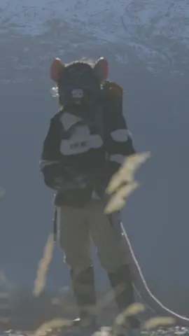 We thought winter was here, then it left us feeling like the start of spring, but the days can only get darker for 7 more weeks. Thanks to the rollback of an hour this weekend, it now feels like it gets harder to deal with the darkness, as this is the moment where winter truly sets in for me, psychologically. If it stays like this, though, it won't be so bad. #fursuiter #fursuit #furry #furryfandom #fursuiting 