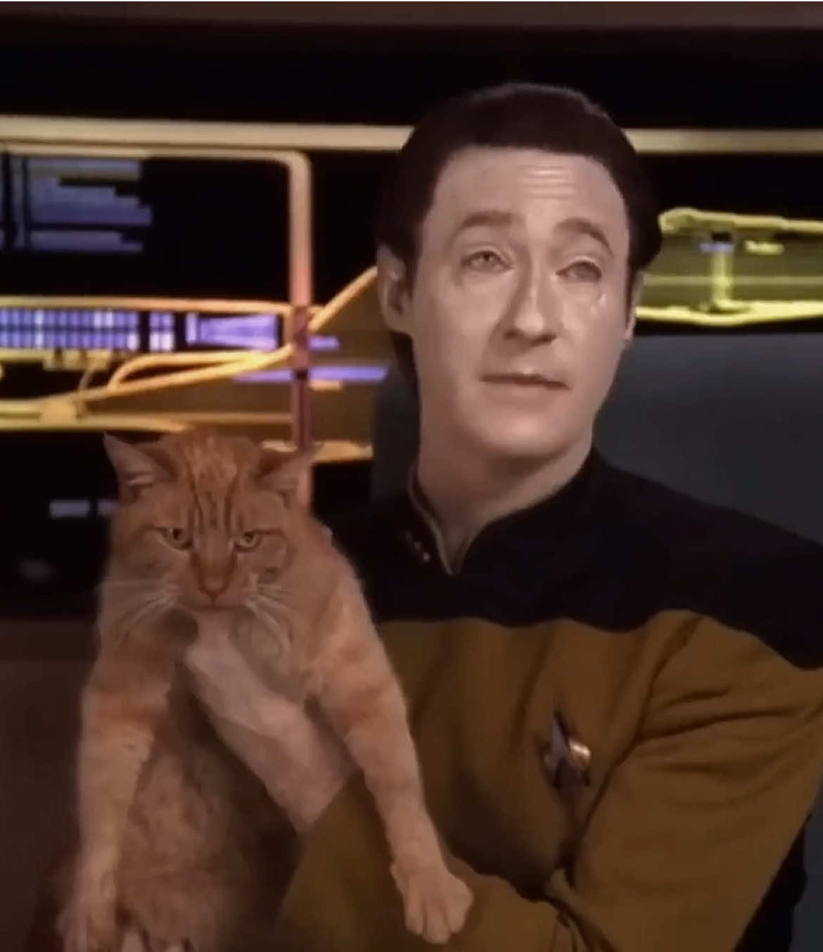 Data my sweet boy he is 3 days old 💛💛💛 #edit #startrek #startrekedit #fyp #capcut