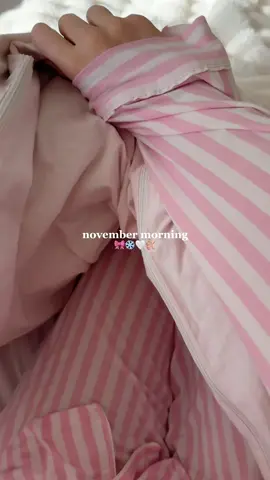 It’s finally november 🤭❄️🎀 #morningroutine #morningroutineaesthetic #pinkmas #christmasaesthetic 