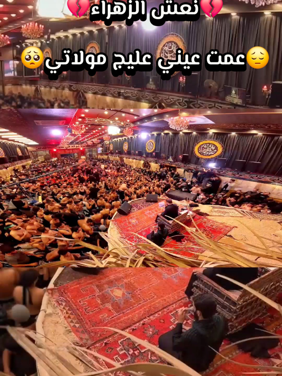 #نعش_الزهراء #سيدفاقدالموسوي #اسمع #جديد #سيموالشاعر 