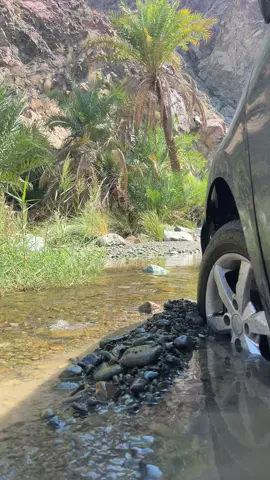 #وادي_الصرمي_الظويهر_الخابوره  #سلطنة_عمان🇴🇲  #تصويري📷  #اكسبلورexplore 