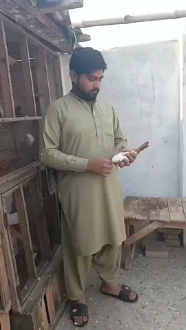 #Foryou #foryoupage #acountunfreeze😟 #viral #tiktokpakistan 