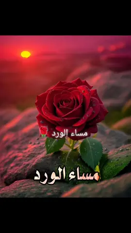 #مساء_الخير #goodevening #مساء_الورد #اغاني_عراقيه #اغاني_عربيه 