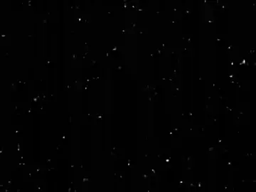 #جبار_العبادي #شعراء_وذواقين_الشعر_الشعبي🎸 #شعروقصايد_خواطر_غزل_عتاب #شعر_وقصائد 