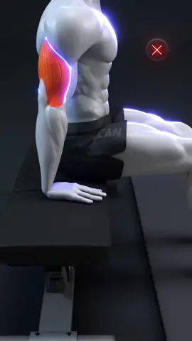 💪 Are You Doing Bench Dips Wrong? Watch This