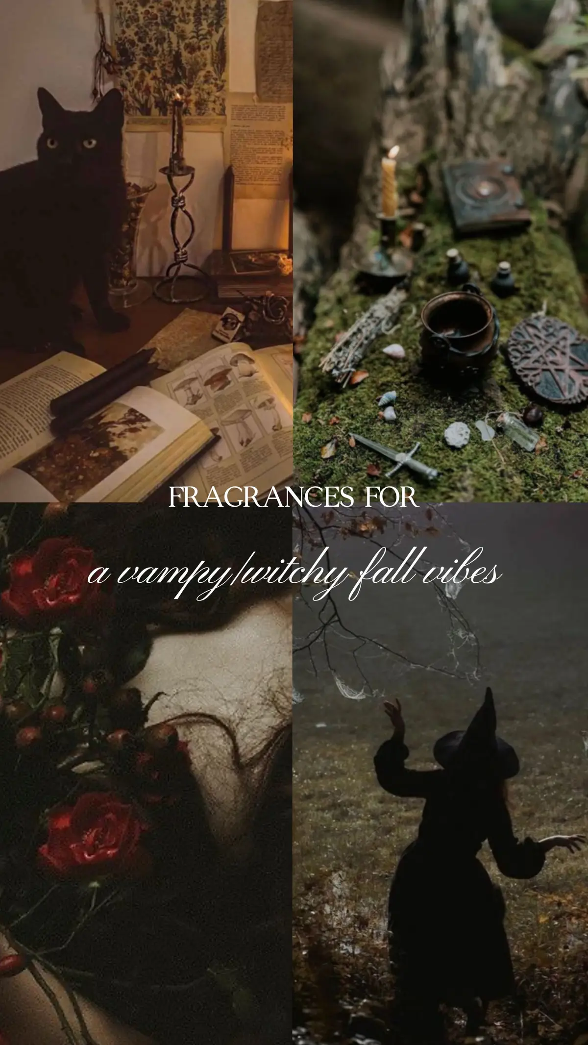Spooky season is here and there is nothing more exciting than to wear fragrances that channel all the witchy, vampy energy. Think dark florals, smoky incense, velvety woods and red wine! ✨🍷🧙‍♀️🖤 Fragrances mentioned: @Liquides Imaginaires Bloody Wood Villa Erbatium Dracula  Sylhouette Parfums Romance Noire @jovoyparis Psychedelique @storaskuggan Hexensalbe What’s your go-to perfume for this time of year?🍂 Some of these are available at @Scent Split if you are curious to try (code KRISHMA10) #nicheperfume #nichefragrance #gothic #goth #fragrance  