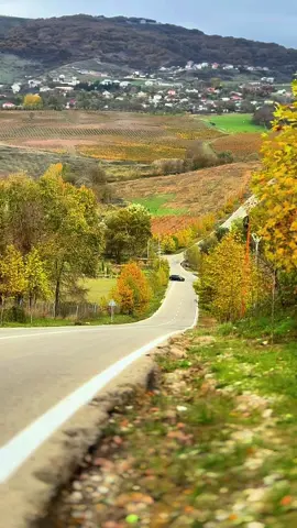 Autumn 🍁🍁🍂🍂🍁🍂🍁