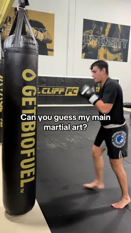 Can you guess which one? #mma #muaythai #bjj #boxing #viral 