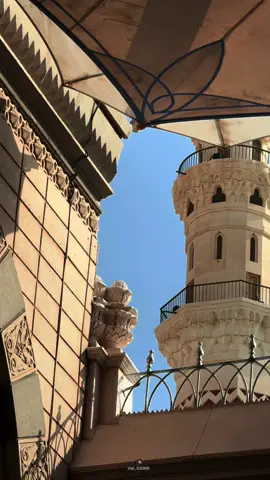 عن أنس بن مالك رضي الله تعالى عنه: أن رسول الله صلى الله عليه وسلم قال: ((إن سبحان الله، والحمد لله، ولا إله إلا الله، والله أكبر: تنفض الخطايا كما تنفض الشجرة ورقها)) صححه الألباني☘️🌷 #عبدالمحسن_القاسم#اكسبلور#foryou#fyp#foryoupage