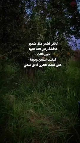 #كانني أشعر مثل شعور عائشة رضي الله عنها حين قالت : فبكيت ليلتين ويوما حتى ظننت الحزن فالق كبدي#بدون_موسيقى