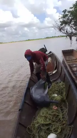 Cuidarlos es tarea de todos