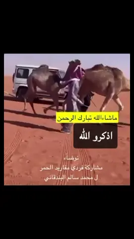 #مفاريد_الحمر 