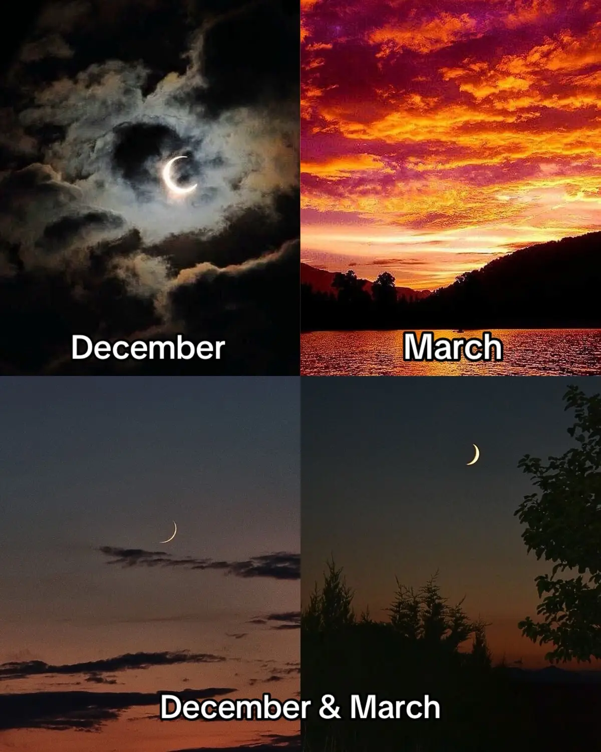 #fyp #virall #moodboard #vibes #month 