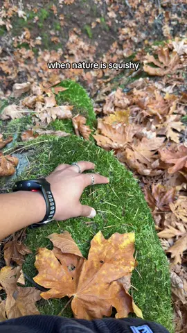 i must squish #Hiking #nature #hike #fyp 
