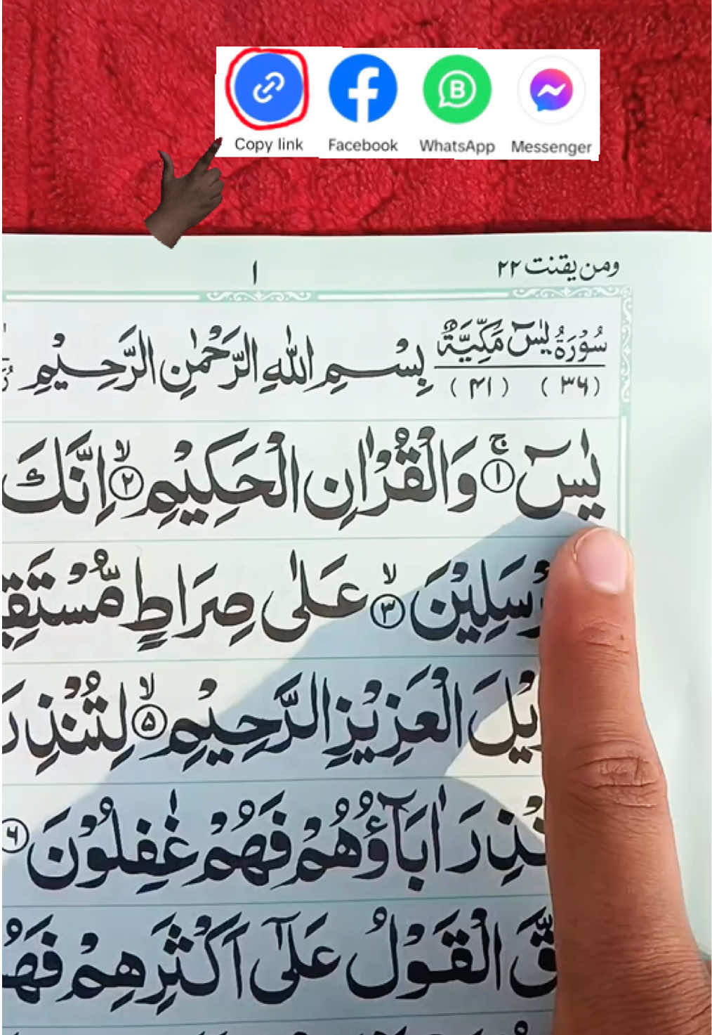 Amazing Recitation Heart of Quran Surah Ya-Sin 📖🎧❤️ #quranrecitation #surahyasin #quran #surah #virelvideo  @@nuranivibes5 👈