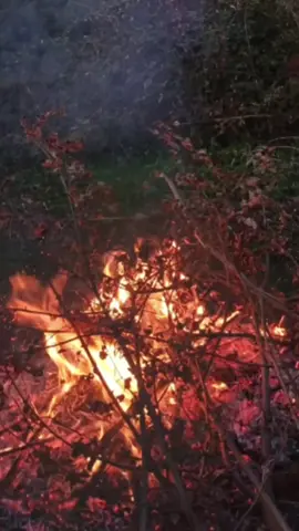 قال الله تعالى :