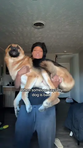 #fyp #fy #dogsoftiktok 