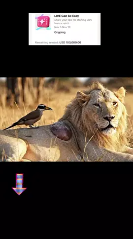 #LIVEIncentiveProgram #LIVECanBeEasy #PaidPartnership 